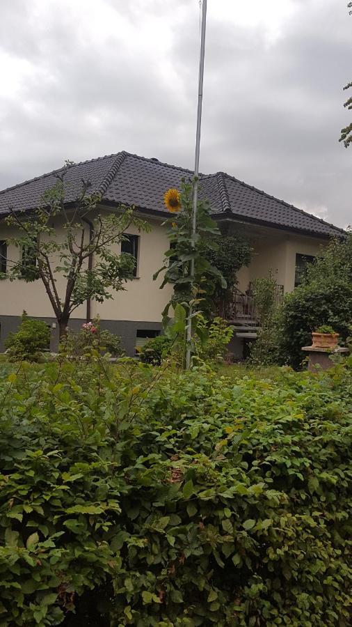 Ferienwohnung "Am Fechtertor- Eingang Zum Schlosspark" พุทบัส ภายนอก รูปภาพ