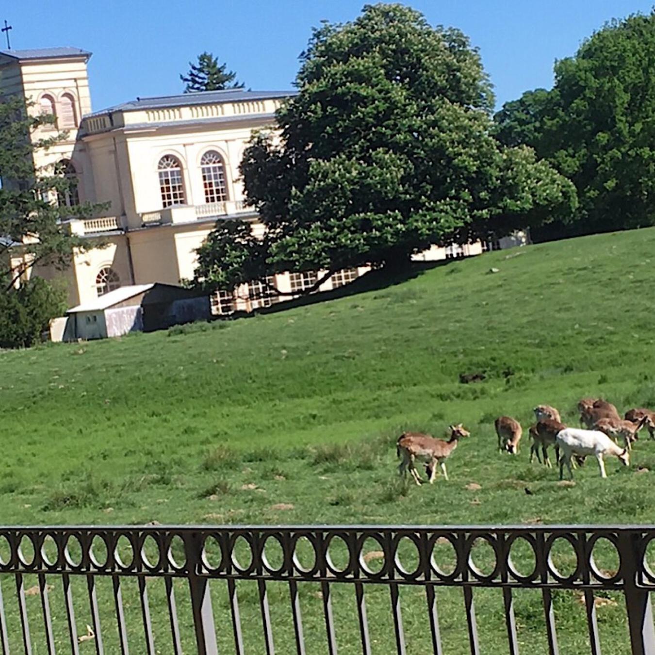 Ferienwohnung "Am Fechtertor- Eingang Zum Schlosspark" พุทบัส ภายนอก รูปภาพ